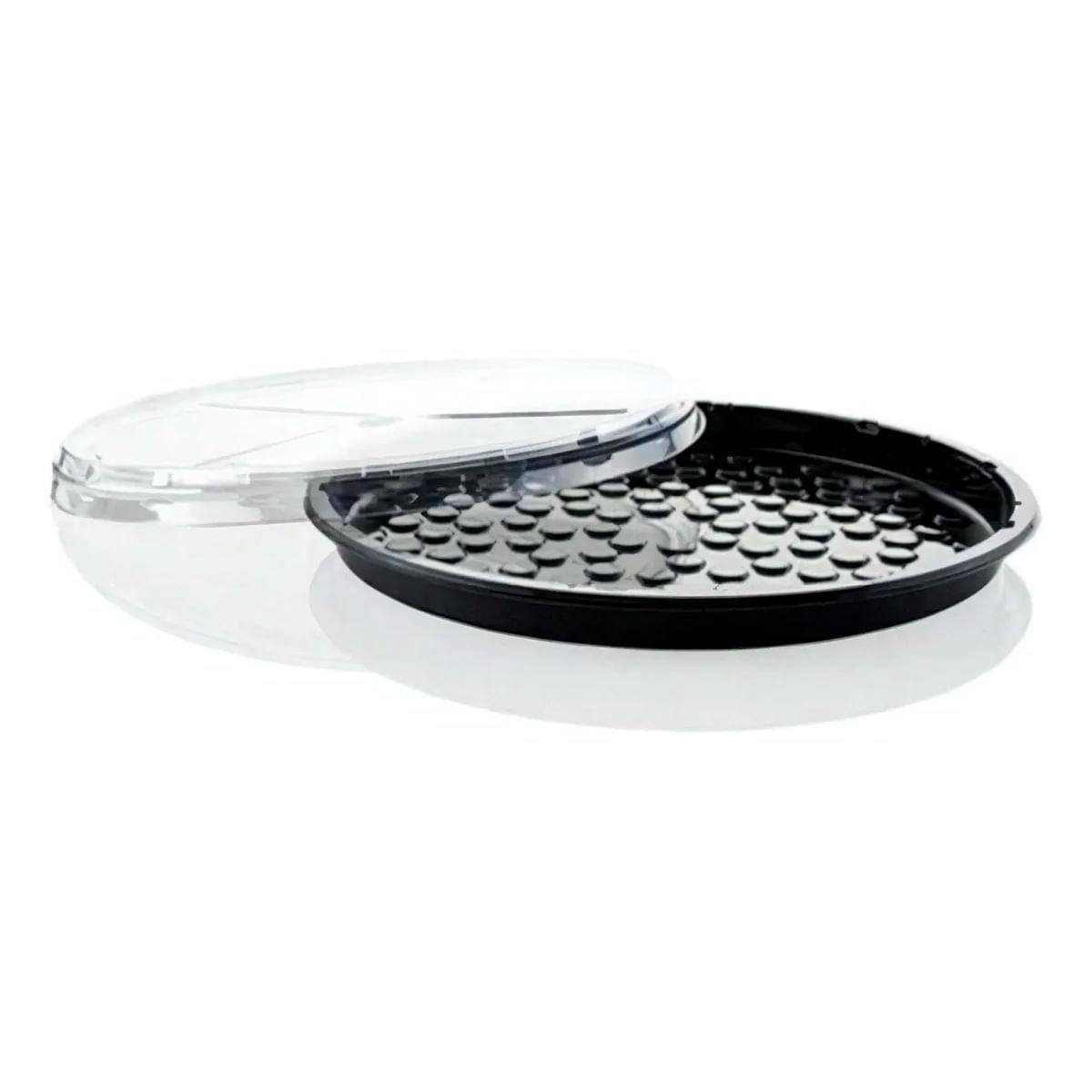 50un Bandeja Pizza Plástica Transparente G230 Rasa 33,5x4,8cm Galvanotek