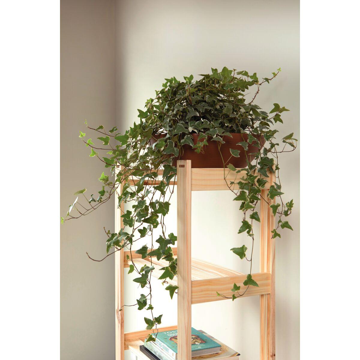 Estante para Livros 90 x 171 cm com 6 Prateleiras Modulare Natural Tramontina