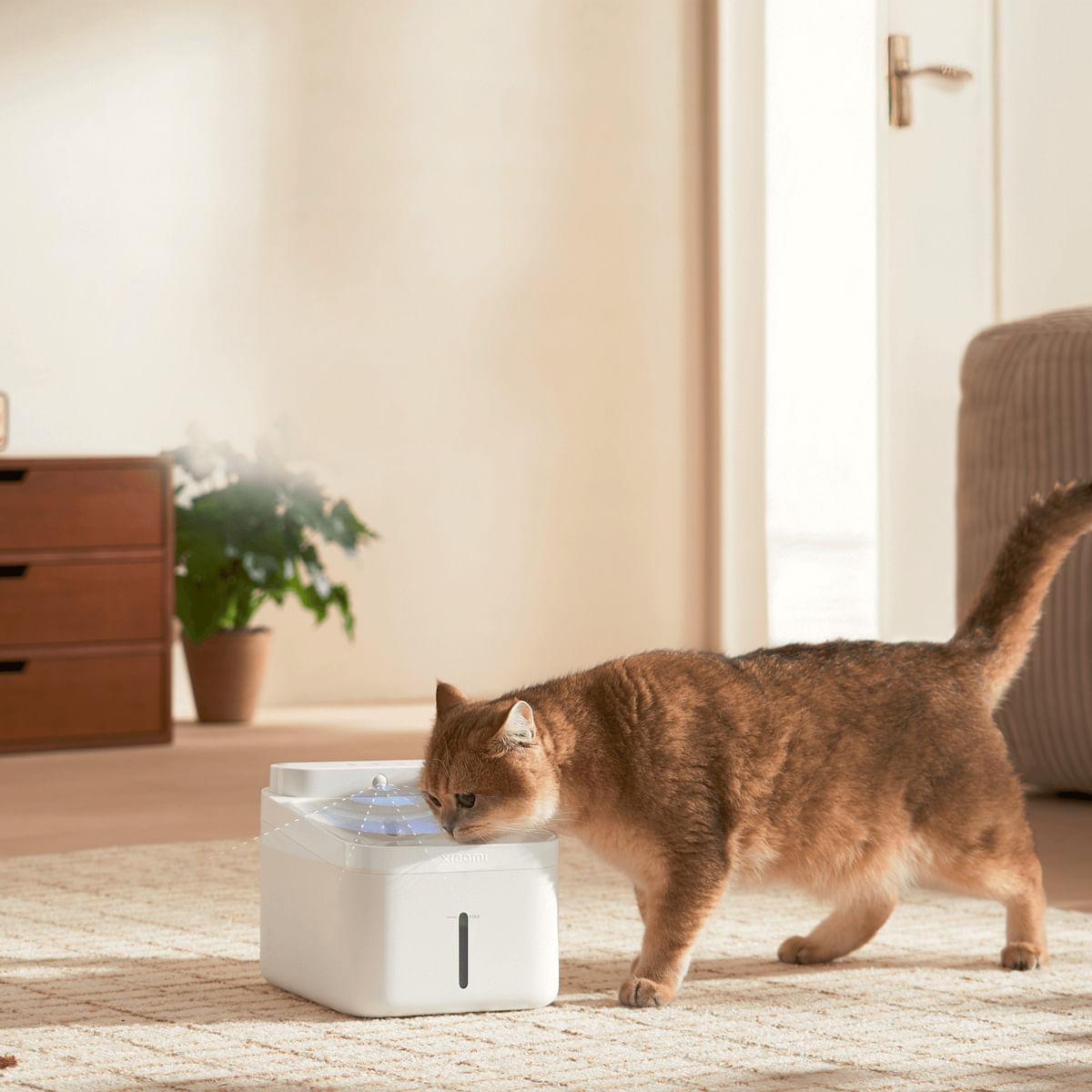 Bebedouro Wi-fi Inteligente Para Pet 2 Xiaomi Branco 3L