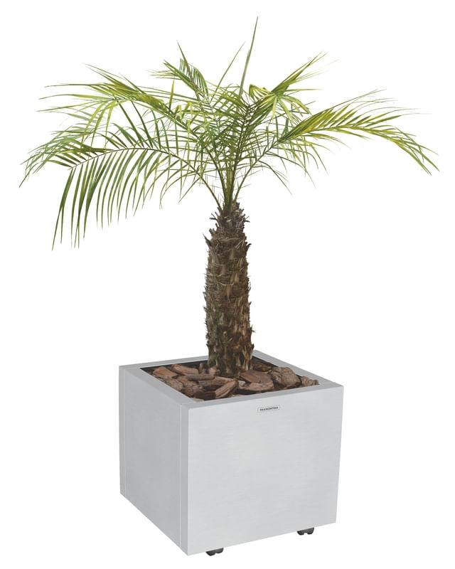 Cachepô Square Inox 50x50 cm Tramontina 94540719