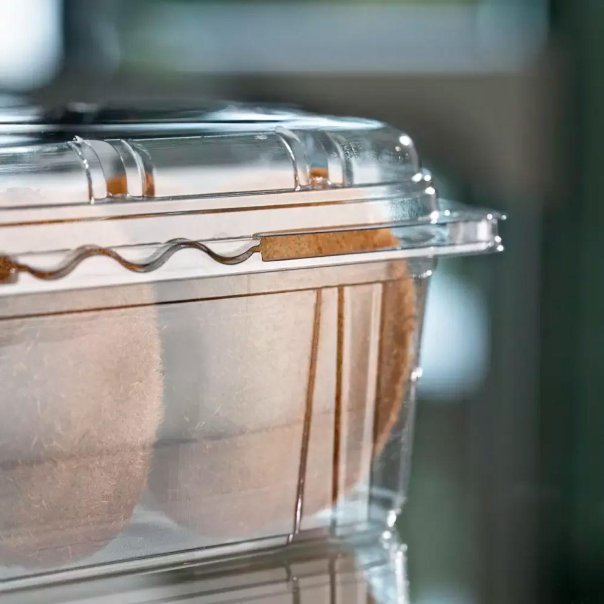 500un Embalagem Para Fruta 500g GF 501 Transparente Galvanotek