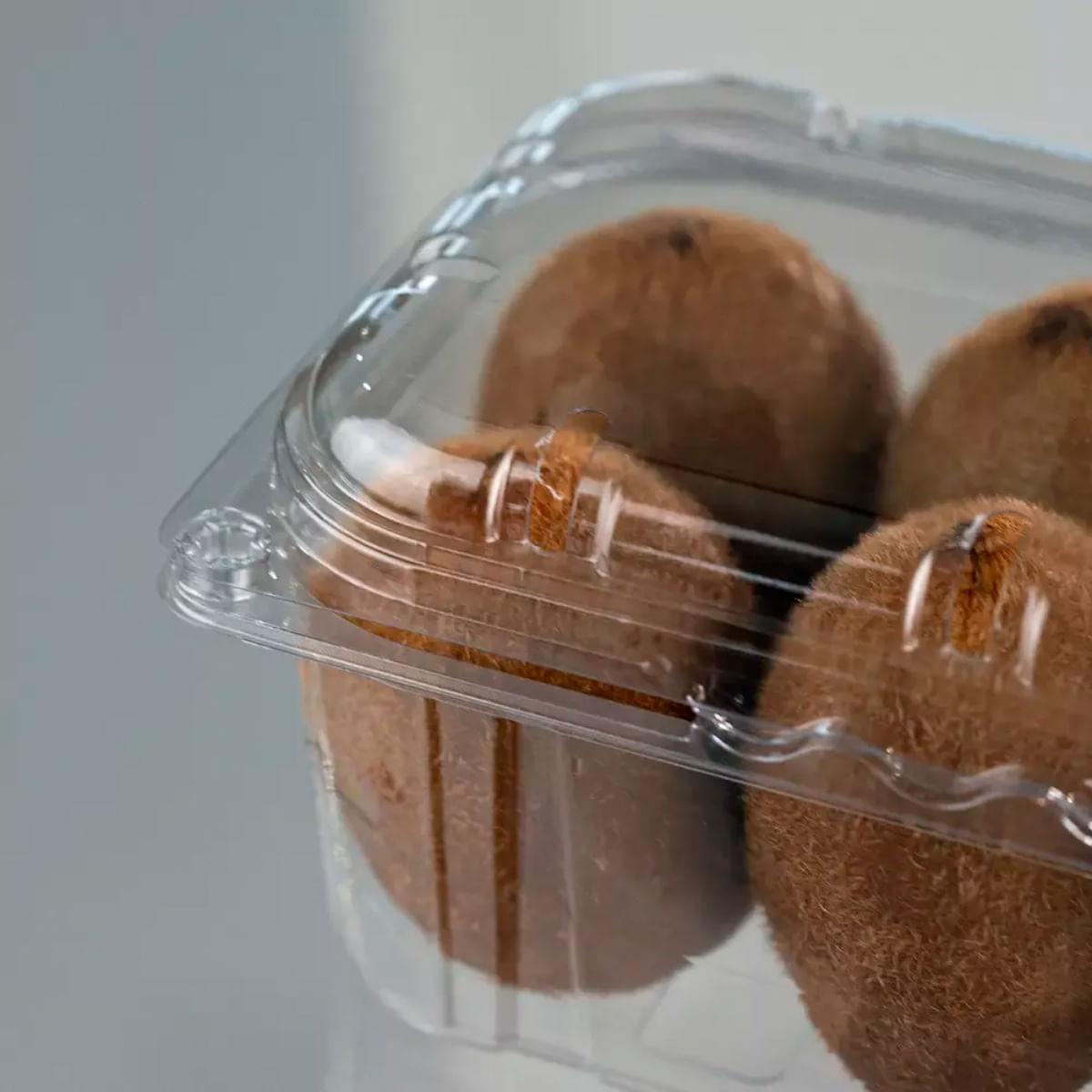500un Embalagem Para Fruta 500g GF 501 Transparente Galvanotek